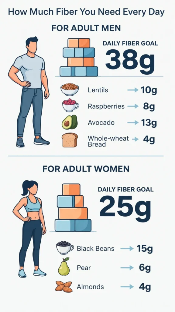 An infographic comparing daily fiber goals and food sources for adult men and women.